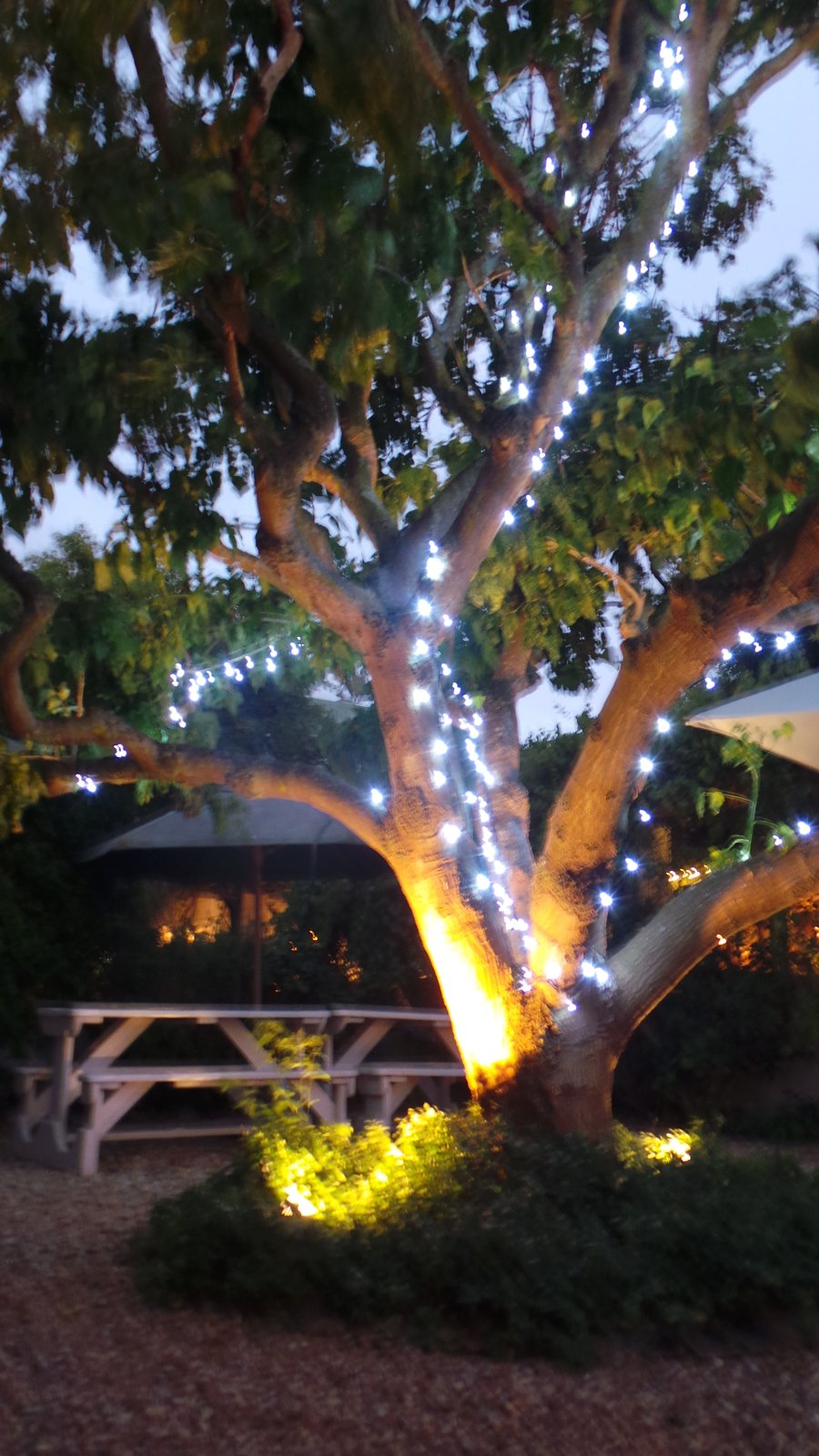 Courtyard Hotel18